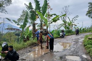 Tanam Pohon Pisang, Mancing, hingga Mandi di Jalan, Warga Wonosobo Desak Jalan Rusak Diperbaiki