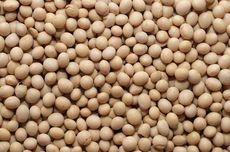 Menteri Imipas Beberkan Awal Mula Gagas Ketahanan Pangan di Lapas