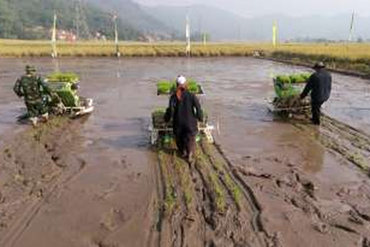 Petani sedang mencoba mesin yang dapat memanen padi secara otomatis di Soreang, Bandung, Rabu (20/7/2016)