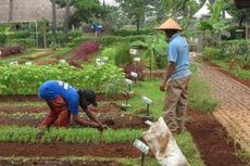 Bayar Rp 100.000 Bebas Main Sambil Belajar di Ecopark Ancol