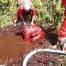 Pemadaman Karhutla di Dumai, Petugas Gali Gambut Pakai Tangan Cari Sumber Air
