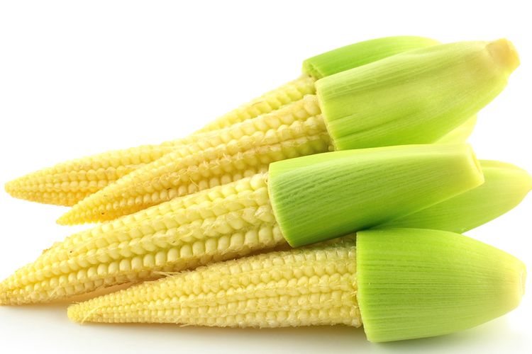 Ilustrasi jagung muda atau baby corn atau putren. 