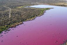 Foto Air Laguna Berubah Jadi Merah Muda, Diduga akibat Bahan Kimia