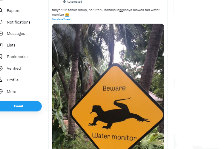 Tangkapan layar twit soal bahasa Inggris biawak adalah water monitor
