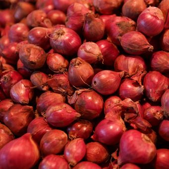 Foto stok: Bawang merah.