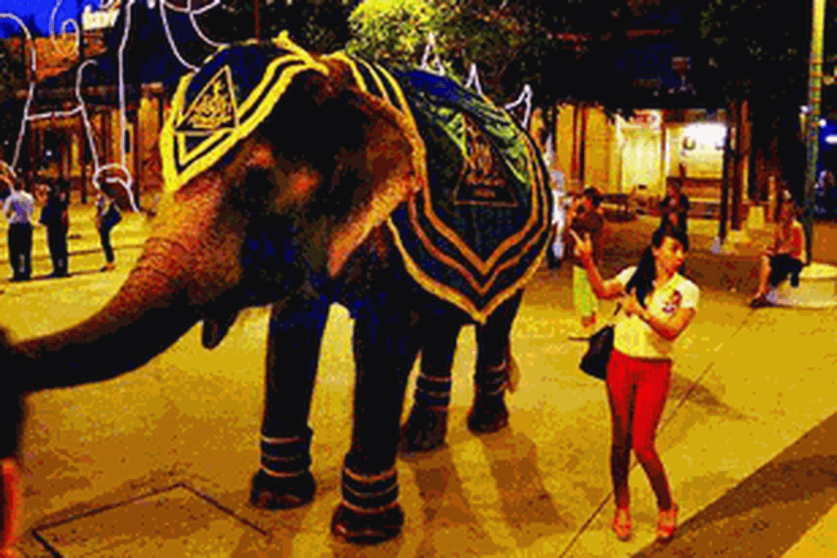 Seorang pengunjung bercanda dengan gajah tunggangan sebelum menonton pertunjukan Siam Niramit di Bangkok, Thailand, Jumat (10/8/2012). Siam Niramit adalah salah satu pertunjukan paling populer di Bangkok. Pertunjukan itu menceritakan tentang kebudayaan Thailand yang ditampilkan dengan kreativitas tinggi. Namun, penonton tidak diperbolehkan mengambil gambar saat pertunjukan berlangsung.