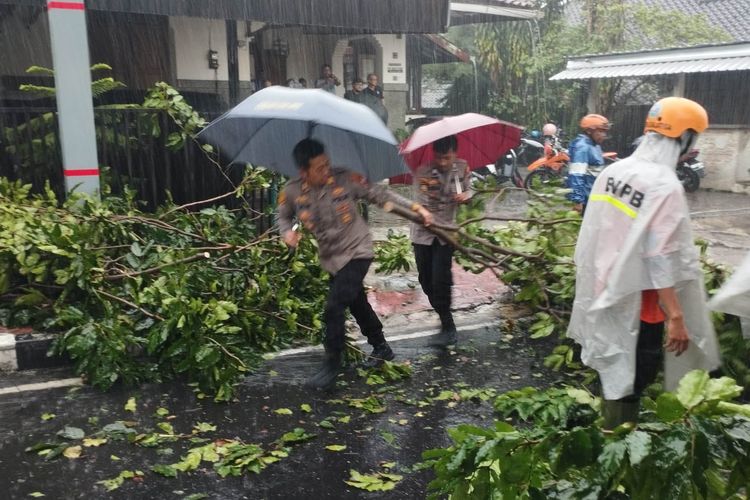 Proses evakuasi pohon tumbang di Jalan Yos Sudarso Salatiga
