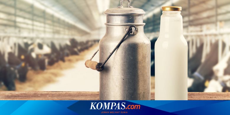 Konsumsi Susu Bantu Kurangi Risiko Masalah Jantung