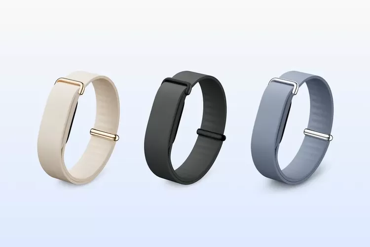 Ilustrasi Google Fitbit Air.