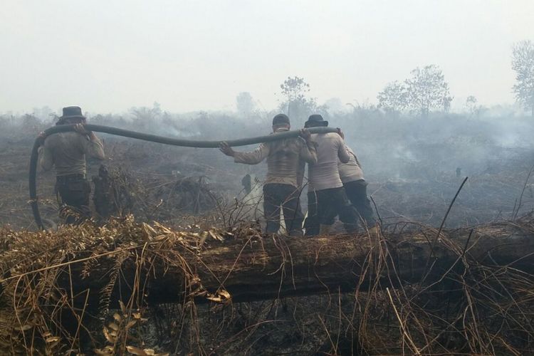 Tim Satgas Karhutla Riau melakukan pemadaman api di salah satu lahan yang terbakar. 