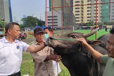 Dinas LH DKI Larang Limbah Hewan Kurban Dibuang ke Saluran Air, Khawatir Tularkan Penyakit