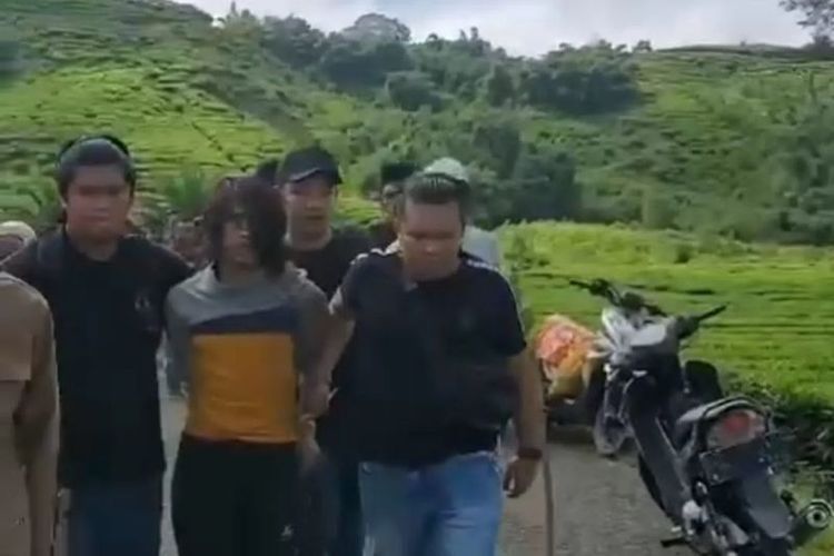 Anggota Polres Kerinci dan Polsek Kayu Aro saat menangkap pemuda terduga pelaku pembunuhan ibu kandungnya di kawasan perkebunan teh Desa Sungai Asam, Kayu Aro Barat, Senin (27/5/2024). 