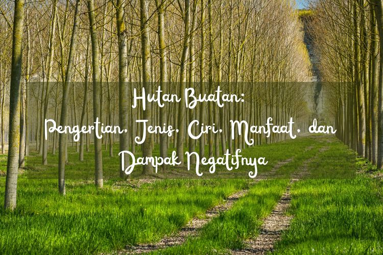 Hutan Buatan: Pengertian, Jenis, Ciri, Manfaat, dan Dampak Negatifnya
