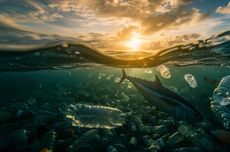 Mikroplastik Hambat Laut Serap Karbon, Ancaman untuk Iklim 