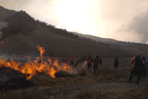 Sabana Gunung Bromo Terbakar, Pintu Masuk Wisata yang Ditutup Kembali Dibuka