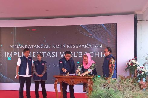 Kasus DBD Kota Semarang Tinggi, Menkes Budi Gunadi Terapkan Teknologi Wolbachia agar Nyamuk Dengue Mandul