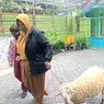 Cerita Rayyan, Siswa SD di Lumajang yang Berkurban Kambing Ternaknya Sendiri