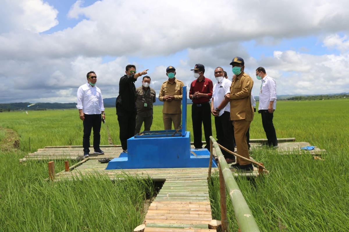 Menteri Pertanian Syahrul Yasin Limpo saat meninjau areal zona 4 food estate Sumba Tengah, Nusa Tenggara Timur yang berlokasi di Desa Makatakeri pada Senin (15/2/2021). 