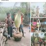 Kata Para Peneliti LIPI soal Bunga Bangkai di Dalam Pot