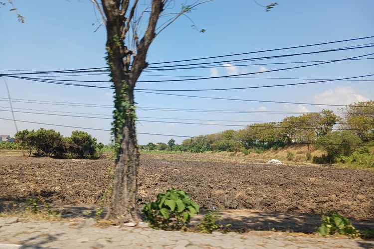 Antisipasi Dampak Kekeringan, BPBD Gresik Bersiap Salurkan Air Bersih