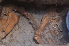 Mengapa Temuan Tulang Hewan di Bantul Diduga Bukan Fosil?