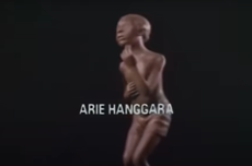 Siapakah Arie Hanggara? 