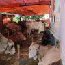 Pemotongan Hewan Kurban di RPH Semarang Turun 5 Persen, Penyebabnya bukan PMK tapi Ini...