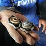 Kecil dan Sering Diabaikan, Ternyata Tutup Radiator Bisa Sebabkan Mesin Mobil Overheat