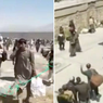 Video Taliban Bebaskan Ribuan Tahanan ISIS dan Al Qaeda dari Penjara Kabul