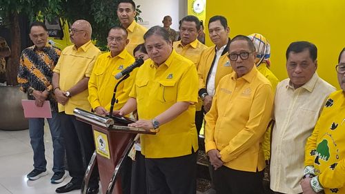 Soal Nasib Airin dan Ridwan Kamil pada Pilkada, Airlangga: Bagi Golkar Sudah Jelas