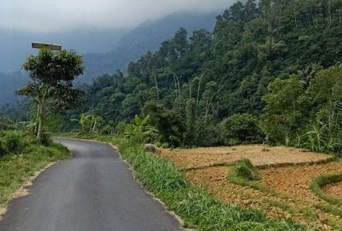 Cara Berkendara Aman di Jalur Penuh Kelokan Tanpa Marka Jalan