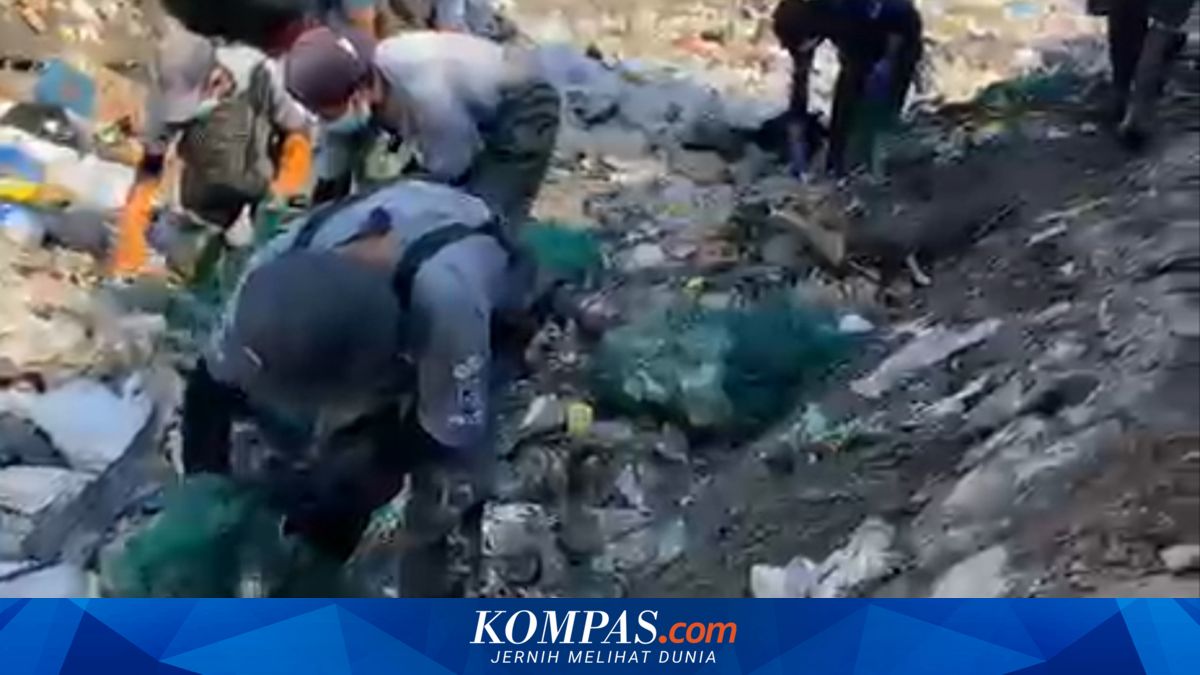 Sungai di Banyuwangi Dipenuhi Sampah Terkontaminasi Limbah