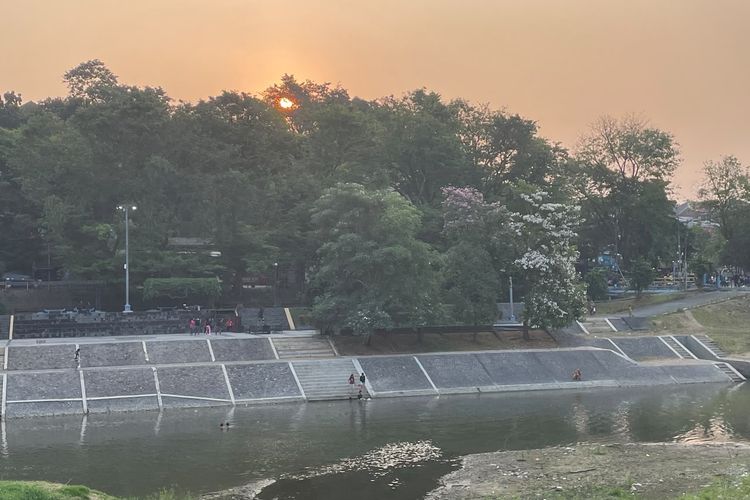 Menikmati Sore di Banjir Kanal Barat Semarang, Saat Sungai Surut dan Tabebuya Bermekaran