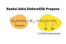 Reaksi Adisi Elektrofilik Alkena