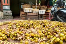 Bencana di Sumatera Ancam Ekonomi RI? Perbanas: Target 5 Persen Masih Bisa Dicapai