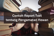 Contoh Report Text tentang Pengamatan Hewan