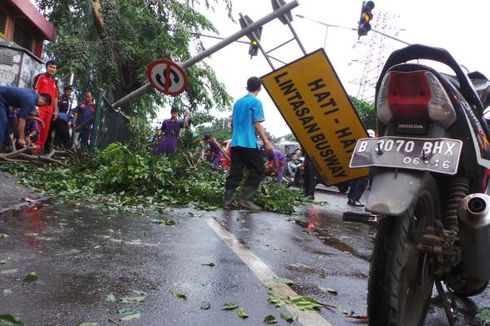 Tiga Mobil Rusak Usai Tertimpa Pohon di Jalan TB Simatupang