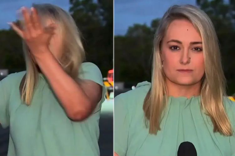 Andrea Crothers, reporter Australia, menampar dirinya sendiri saat siaran langsung di televisi, hanya karena dihinggapi seekor nyamuk.
