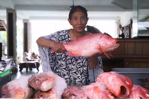 Hari Laut Sedunia, Belajar Jenis Ikan Laut dan Memasak dari Vlog Susi Pudjiastuti
