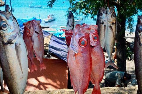 BPS: Harga Ikan Segar Turun akibat Penanganan 