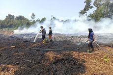 25 Ha Hutan dan Lahan Gambut di Bengkalis Riau Terbakar, 2 Hari Api Belum Padam