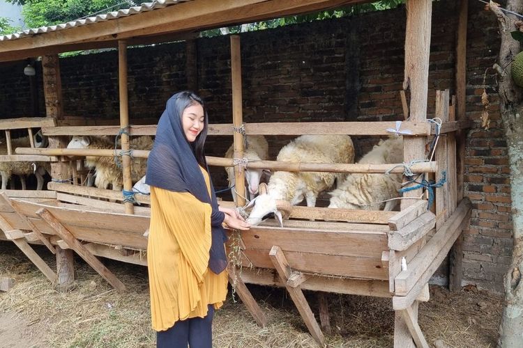Salah satu SPG penjual kambing di Bantul, DI Yogyakarta. Rabu (29/5/2024)