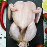 5 Ciri Daging Ayam Segar, Jangan Salah Pilih Daging Ayam Gelonggongan