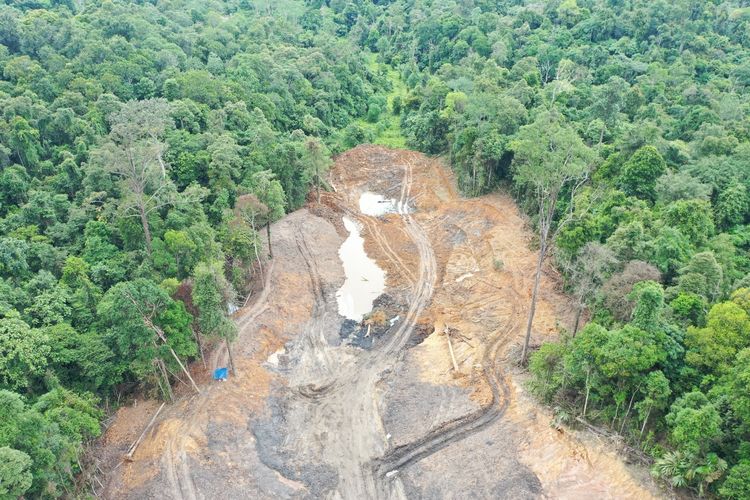 Hutan Pendidikan UNMUL Rusak Akibat Tambang Ilegal, Rehabilitasi Tertahan Proses Hukum