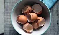 8 Manfaat Cangkang Telur, Bisa Jadi Bahan Kaldu