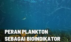 Peran Plankton Sebagai Parameter Kualitas Air 