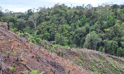 Tanah Warga Tercatat sebagai Aset Negara, UU Reforma Agraria Buka Jalan Pemulihan Hak