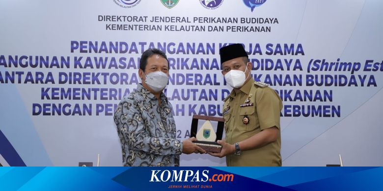 KKP Bangun Shrimp Estate Pertama di RI, Seperti Apa? - Vimarsana News