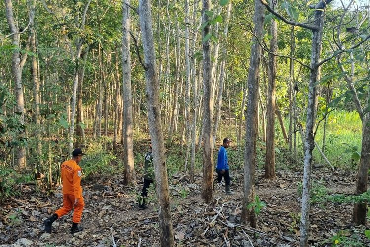 SAR Gabungan dan warga melakukan pencarian remaja hilang di Hutan Dlingo, Bantul.