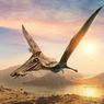 Misteri Asal Usul Reptil Purba Pterosaurus Terungkap, Seperti Apa?